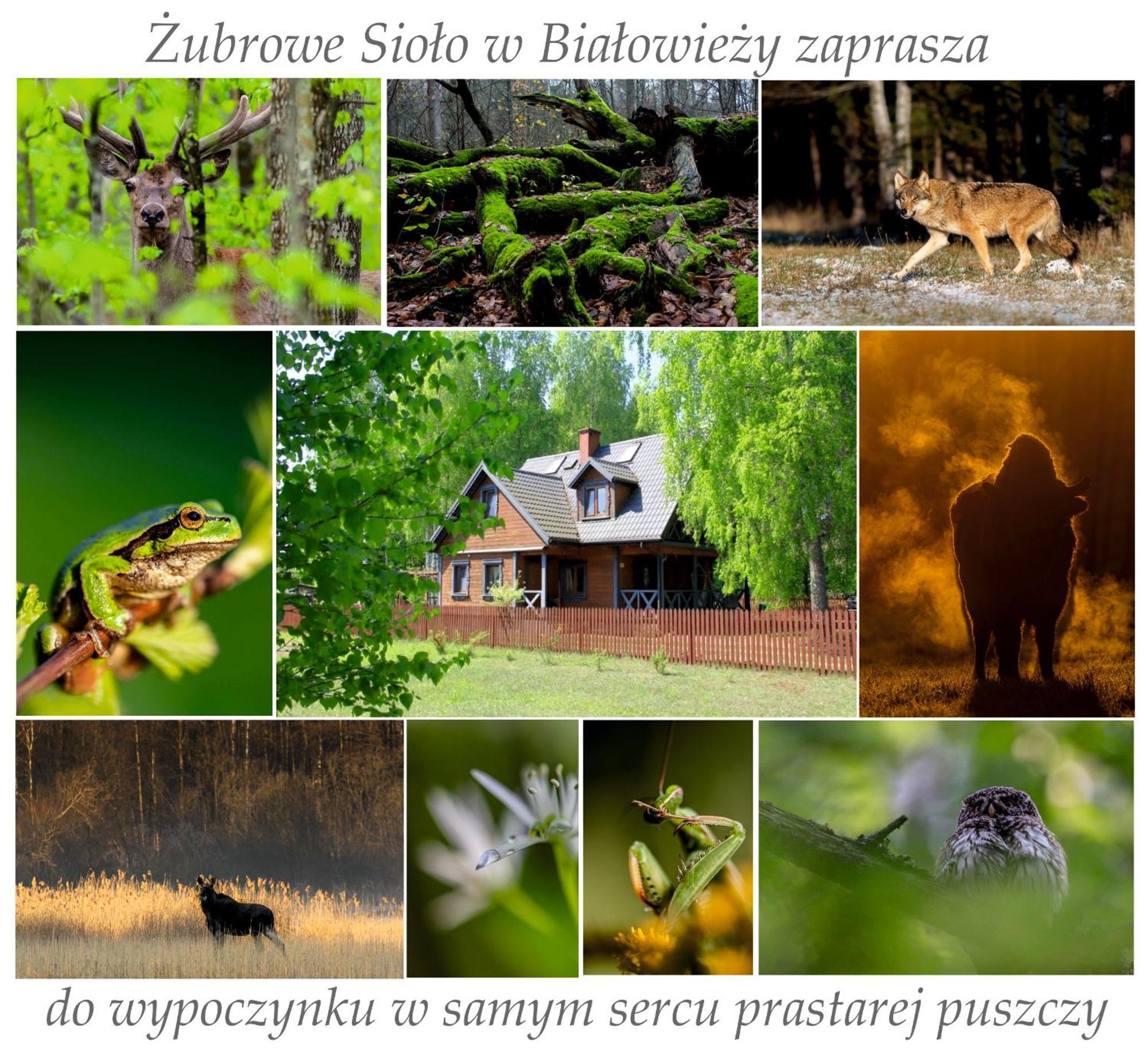 Jasinskiego Z Ogrodem Apartment *